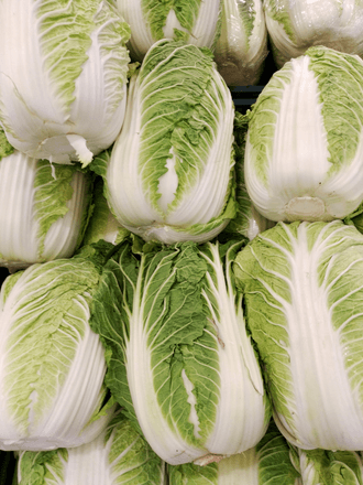Napa Cabbage