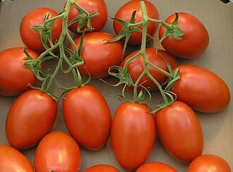 Roma Tomato