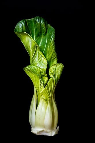 Bok Choy