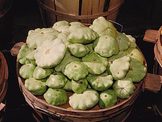 Pattypan Squash