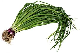 Scallion