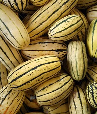 Delicata Squash